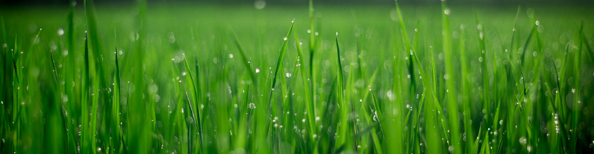 Slide background